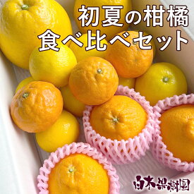 【送料無料】【セール】初夏の柑橘お楽しみ食べ比べセット【詰め合わせ】【フルーツ詰め合わせ】【返品交換不可商品】