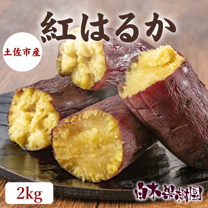 【土佐市産】紅はるか 約2kg、4kg、8kg【さつまいも サツマイモ さつま芋 高知 焼いも 焼き芋】