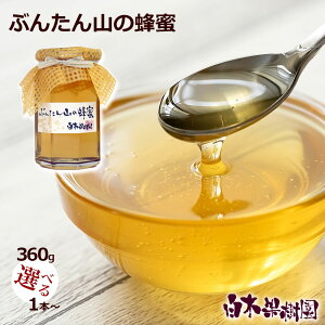 y\zy2026NYzyYzԂ񂽂R̂Ԃ̖I360gyizVR݂͂yzyAȓyYzyyMt_̂zyyMt_bŹz