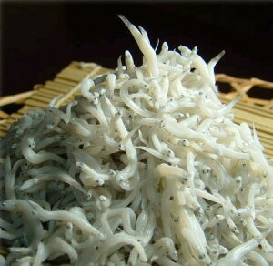 yUzlŊg炷500g ؔ [IBEa̎RY]ŝł钴Nx̃VX߂A炷̊TOłjvIîΉOKEΕ邨Ȃǂ̃Mtgɂ