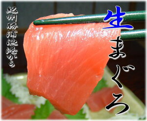 �����ӂ��܌���E���j�^�[���i�ł����������������}�O���Ԑg�y2���z�@[��480g]�`�`���܂���̖{��A�I�B���Y���`����`�`