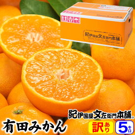 楽天市場 みかん 5kg 送料無料の通販