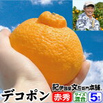 ����ͭ��˭���ǥ��ݥ󣵣��