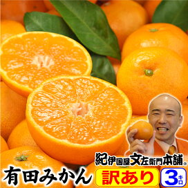 楽天市場 有田みかん産地直送 有田みかん 和歌山みかん 送料無料お試しモニターセール みかん梅干し紀伊国屋文左衛門本舗