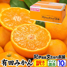 楽天市場 みかん 10kg 送料無料 訳あり 品種 みかん 温州みかん みかん フルーツ 果物 食品の通販