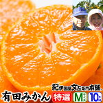 ͭ�Ĥߤ��������̵�������⤵�����ͭ�Ĥߤ����������եȡڣͥ���������100�̡��󣱣�����²λ���ͭ�ķ�ͭ����Į�ʵ����Į�˱��϶褫�鲹���ߤ�������������ܰ졪�ߤ����̾���Ϥ��黺��ľ����[���˹�ʸ����������]