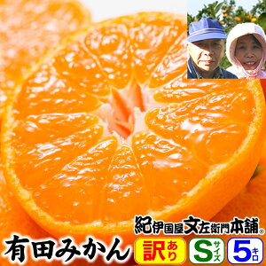 yoׁz񂿂̗Lc݂ 5kg ƒpySTCY60`65ʁz a̎RLcSLc쒬n悩 B݂̐Yʓ{I݂̖YnYn