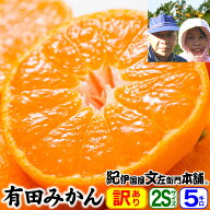【予約販売】武内さんちの有田みかん 5kg ご家庭用【2Sサイズ＝約70～75果】送料無料 和歌山県有田郡有田…