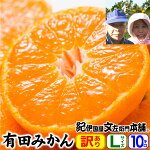 ������̵�������⤵�����ͭ�Ĥߤ��󡦤�������