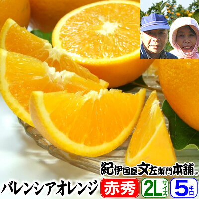 武内さんちのバレンシアオレンジギフト用【秀】選別2Lサイズ5kg有田郡吉備町奥(おき)地区から