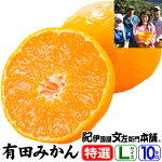 ͭ�Ĥߤ��������̵���������ʥ��ե����̲̼¡��������ͭ�Ĥߤ����L����������10kg����90�̡ˡڻ���ľ�����²λ���ͭ�ķ�����Į��Ĭ�����������Ŭ���ʡ�Ȫ�Ǻ��ݤ��줿ͭ�ĥߥ����²λ��ߤ���