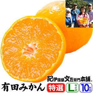 y\̔zLc݂yzIiMtgIʉʎER̗Lc݂yLTCYz 10kgi90ʁj yYnza̎RLcSL쒬E̓œKȒiXō͔|ꂽ
