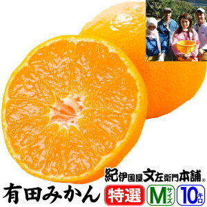 y\̔zLc݂yzIiMtgIʉʎER̗Lc݂ yMTCYz 10kgi100ʑOj yYnza̎RLcSL쒬E̓œKȒiXō͔|