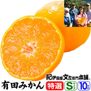 y\̔zLc݂yzIiMtg IʉʎER̗Lc݂ySTCYz 10kgi120`130ʁjyYnza̎RLcSL쒬E̓œKȒiXō͔|