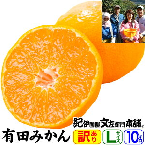 y\̔z 󂠂Iʂƒpʎ R̗Lc݂ yLTCYz 10kgi90ʁj yzyYnza̎RLcSL쒬E̓œKȒiXō͔|ꂽLc~J