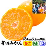 ������̵���ۤ櫓�������̤������Ѳ̼»������ͭ�Ĥߤ����M����������10kg��50������ˡڻ���ľ�����²λ���ͭ�ķ�����Į��Ĭ�����������Ŭ���ʡ�Ȫ�Ǻ��ݤ��줿ͭ�ĥߥ����²λ��ߤ���