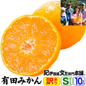 【順次出荷】 訳あり選別ご家庭用果実 山下園の有田みかん 【Sサイズ】 約10kg（約120〜130果） 【送料無料】【産地直送】和歌山県有田郡広川町・潮風の当たる最適な段々畑で栽培された有田ミカン和歌山みかん