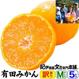 【順次出荷】訳あり選別ご家庭用果実 山下園の有田みかん 【Mサイズ】 約5kg（50果前後） 【送料無料】【産地直送】和歌山県有田郡広川町・潮風の当たる最適な段々畑で栽培された有田ミカン和歌山みかん