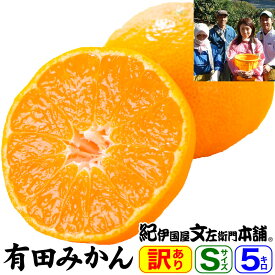 【順次出荷】 訳あり選別ご家庭用果実 山下園の有田みかん 【Sサイズ】 約5kg（約60〜65果）【送料無料】【産地直送】和歌山県有田郡広川町・潮風の当たる最適な段々畑で栽培された有田ミカン和歌山みかん
