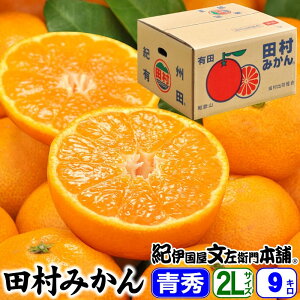 【予約販売】田村みかん/ギフト選別9キロ青秀【LLサイズ】紀州和歌山有田郡湯浅町田村地区産(秀品 LL=約55果前後) 最高級プレミアムブランドの田村ミカン/お歳暮・お年賀に 2L【送料