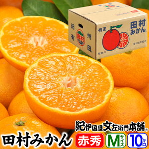 【予約販売】田村みかん/特選ギフト品10kg【Mサイズ】赤秀 紀州和歌山有田郡湯浅町田村地区産/特選ギフト品(M=約100果入り) 最高級プレミアムブランドの田村ミカン/お歳暮・お年賀