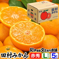 【予約販売】田村みかん／特選ギフト品5キロ【Lサイズ】赤秀 紀州和歌山有田郡湯浅町田村地区産特選ギフ…