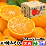 ��¼�ߤ���