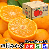 【予約販売】田村みかん／特選ギフト品5キロ【Sサイズ】赤秀 紀州和歌山有田郡湯浅町田村地区産特選ギフ…