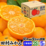 【予約販売】田村みかん 【小粒 2Sサイズ】5kg（1箱＝約70〜75個前後）【送料無料】有田みかんの中でも最…