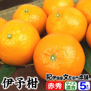 �y�\��̔��z�ɗ\�� ���悩�� �ԏG 5kg �T�C�Y�����y���������z���ʑI�ʕi �I�B�a�̎R�Y �݂���̖{�� �L�c�n������ �t���񂫂t�݂��� �t���k 5�L���l��