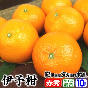 �y�\��̔��z�ɗ\�� ���悩�� �ԏG 10�L�� �T�C�Y�����y���������z�G�i �I�ʕi �I�B�a�̎R�Y �݂���̖{�� �L�c�n������ �t���񂫂t�݂��� 10kg�l��