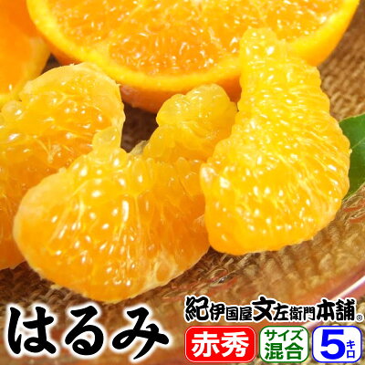 楽天市場 春かんきつ 春みかん 春みかん Trade はるみ はるみ みかん梅干し紀伊国屋文左衛門本舗