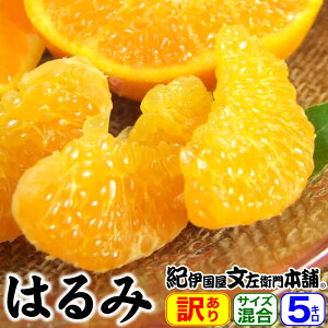 �y�\��̔��z�����x�n�̏t�݂���w�͂�݁x5kg ���ƒ�p�I�� �킯����B���I�ʕi�i�a�̎R�� �L�c�Y�j�T�C�Y�����ʎ� 5�L���l�� �t���񂫂� �t���k�y���������z�󂠂�ʎ�