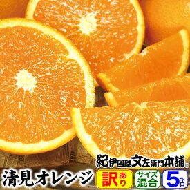 【順次出荷】訳あり春かんきつ 清見オレンジ 5kg【送料無料】B級 家庭用選別 紀州 和歌山県産 有田産 春みかん 春柑橘 お買得わけあり選別 有田みかんの本場から