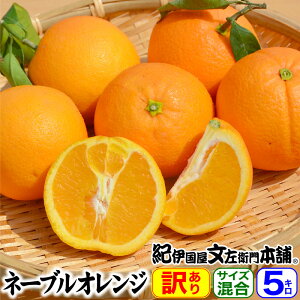 �y�\��̔��z�l�[�u���I�����W ���ƒ�p�I�� 5kg �󂠂�ʎ��yB���i�z�a�̎R���L�c�Y �T�C�Y�I�ʖ��� �T�C�Y���܂���5�L�� �t���k �t�݂���y���������z�񋉕i