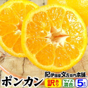 �y�\��̔��z�I�B�L�c�Y �t�݂��� �|���J�� 5kg ���ƒ�p�킯����ʎ�B���i5�L���l�� �ۂ񂩂� �t���񂫂Y�n����