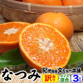 【予約販売】紀州有田みかんの里から・なつみ（南津海）みかん（わけあり柑橘：買得品3kg）ご家庭用 ・この果実は種があります