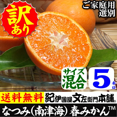 楽天市場 春かんきつ 春みかん 春みかん Trade なつみ 紀州有田産 なつみ みかん 南津海 みかん梅干し紀伊国屋文左衛門本舗 楽天市場 春かんきつ 春みかん 春みかん Trade なつみ 紀州有田産 なつみ みかん 南津海 みかん梅干し紀伊国屋文左衛門本舗
