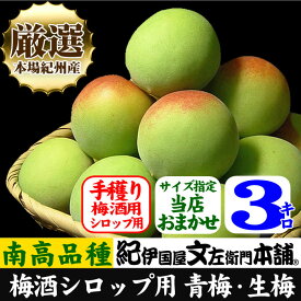 【予約販売】厳選南高梅 フレッシュ青梅(生梅)【 緑 】3キロ 梅干のブランド 厳選 朝採り手選別　青梅(生梅)　南高梅【梅酒用・梅干用】サイズおまかせ3kg入紀州産 和歌山産 朝収穫・朝どり・朝穫り【クール冷蔵便発送】うめ ウメ 梅 送料無料