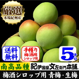 【予約販売】厳選南高梅 フレッシュ青梅(生梅)【 緑 】5キロ 梅干のブランド 厳選 朝採り手選別　青梅(生梅)　南高梅【梅酒用・梅干用】5kg入紀州産 和歌山産 【送料無料】朝収穫・朝どり・朝穫り【クール冷蔵便発送】うめ ウメ 梅 送料無料