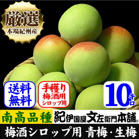 【予約販売】厳選南高梅 フレッシュ青梅(生梅)【 緑 】10キロ 梅干のブランド 厳選 朝採り手選別　青梅(生梅)　南高梅【梅酒用・梅干用】10kg箱 紀州産 和歌山産 【送料無料】朝収穫・朝どり・朝穫り【クール冷蔵便発送】うめ ウメ 梅 送料無料