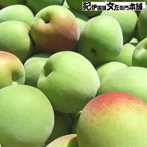 楽天市場】【低農薬・秀品】大つぶ 3L サイズ 以上 南高梅 手もぎ完熟 