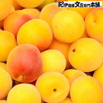 楽天市場】南高梅 完熟 4l 10kgの通販
