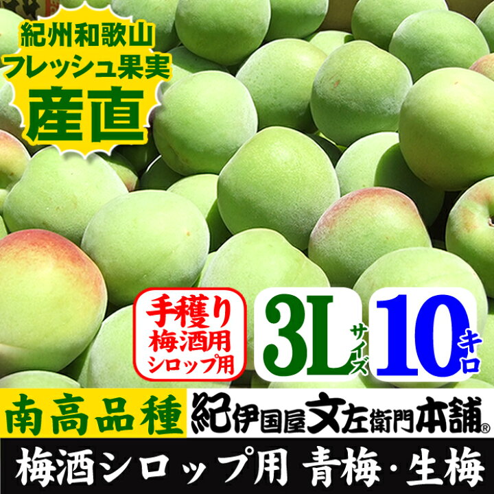楽天市場】【予約販売】紀州和歌山産 朝獲り青梅(生梅)南高梅【 3L  