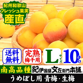 【予約販売】青梅(生梅)【完熟】朝獲り南高梅【　L　】10kg入黄色【梅酒用・梅干用】うめ 紀州和歌山産【クール冷蔵便発送】うめ ウメ 梅 送料無料