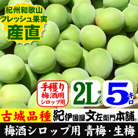 【予約販売】朝獲り手選別 青梅(生梅)　古城品種 ごじろ【　2L　】5kg入【梅酒用】紀州和歌山産 【クール冷蔵便発送】送料無料