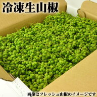 新物【冷凍】実山椒 500g 令和8年(2026年)産 (青山椒・冷凍生山椒・さんしょう／和歌山県有田川町産など…