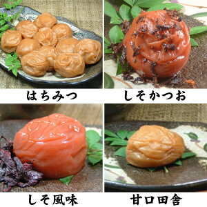 ~Zbgi60g×4ށjJbv/a̎RY߂ڂ E IBY~gp Ήs ~ ߂ڂ