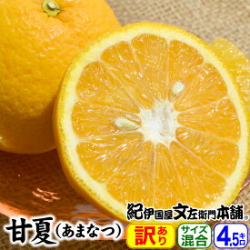 【予約販売】完熟 甘夏（あまなつ）【訳あり果実・買得品4.5kg】送料無料／紀州有田産の春みかん／わけあり柑橘／ご家庭用甘夏／本場 和歌山県有田地方産