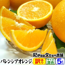 【予約販売】バレンシアオレンジ 買得品 5kg ご家庭用 紀州有田産 わけあり柑橘 訳あり お試しセット 国産 ばれんしあ おれんじ【送料無料】夏の柑橘